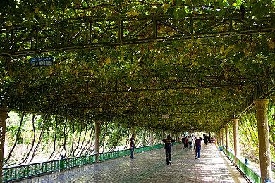 合作管理《速速上菜！》明年2月15日登陆主机 Steam获特别好评